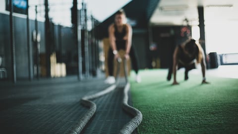 Two people training with battle ropes in a gym
